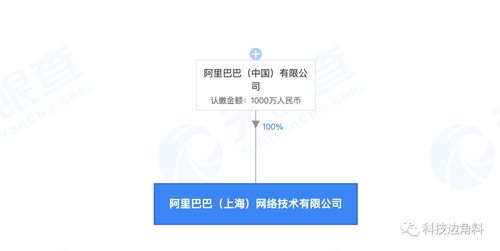 阿里巴巴在上海成立新公司，注冊資本1000萬元聚焦軟件開發